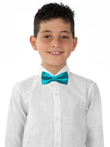 PAJARITA NIÑO AZUL BONDI MICROTOPOS PLATA